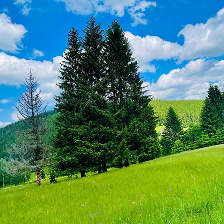 Gorska Cisza - Duzy, Komfortowy, Wyjatkowy Apartament Stronie Śląskie 외부 사진