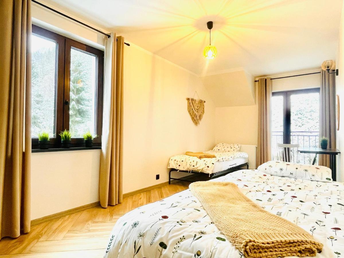 Gorska Cisza - Duzy, Komfortowy, Wyjatkowy Apartament Stronie Śląskie 외부 사진