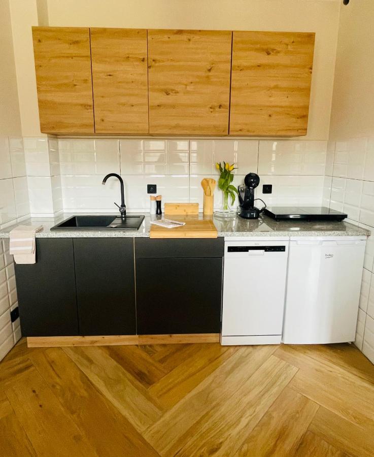 Gorska Cisza - Duzy, Komfortowy, Wyjatkowy Apartament Stronie Śląskie 외부 사진