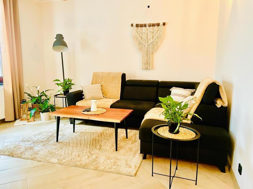 Gorska Cisza - Duzy, Komfortowy, Wyjatkowy Apartament Stronie Śląskie 외부 사진