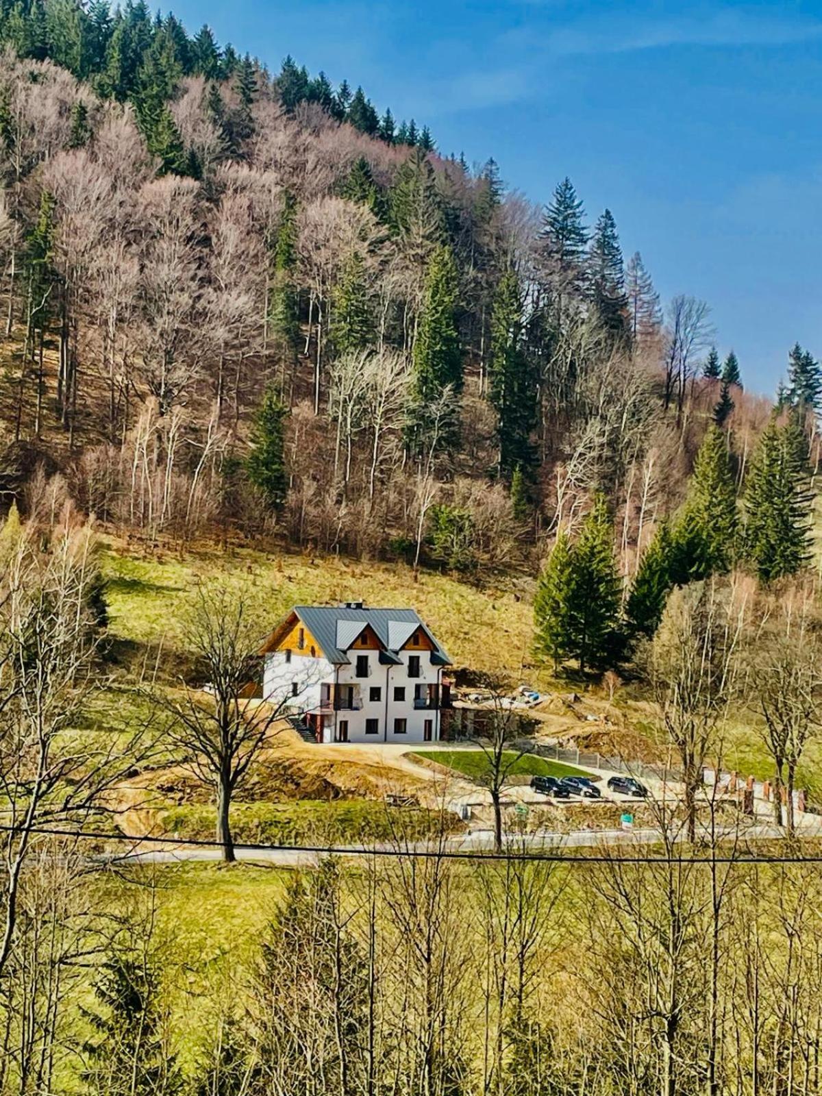 Gorska Cisza - Duzy, Komfortowy, Wyjatkowy Apartament Stronie Śląskie 외부 사진