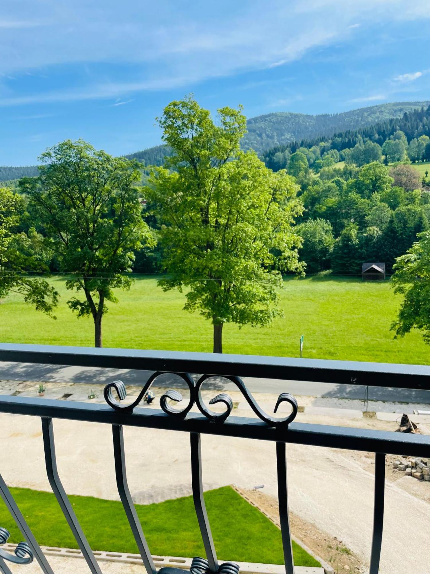 Gorska Cisza - Duzy, Komfortowy, Wyjatkowy Apartament Stronie Śląskie 외부 사진