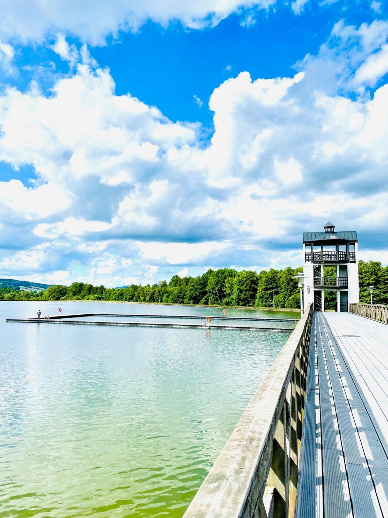 Gorska Cisza - Duzy, Komfortowy, Wyjatkowy Apartament Stronie Śląskie 외부 사진