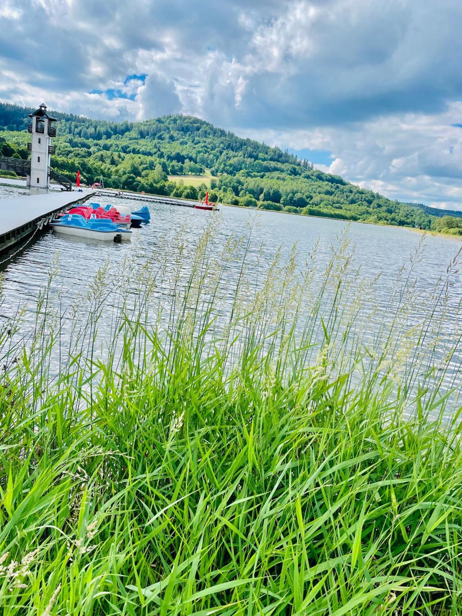 Gorska Cisza - Duzy, Komfortowy, Wyjatkowy Apartament Stronie Śląskie 외부 사진