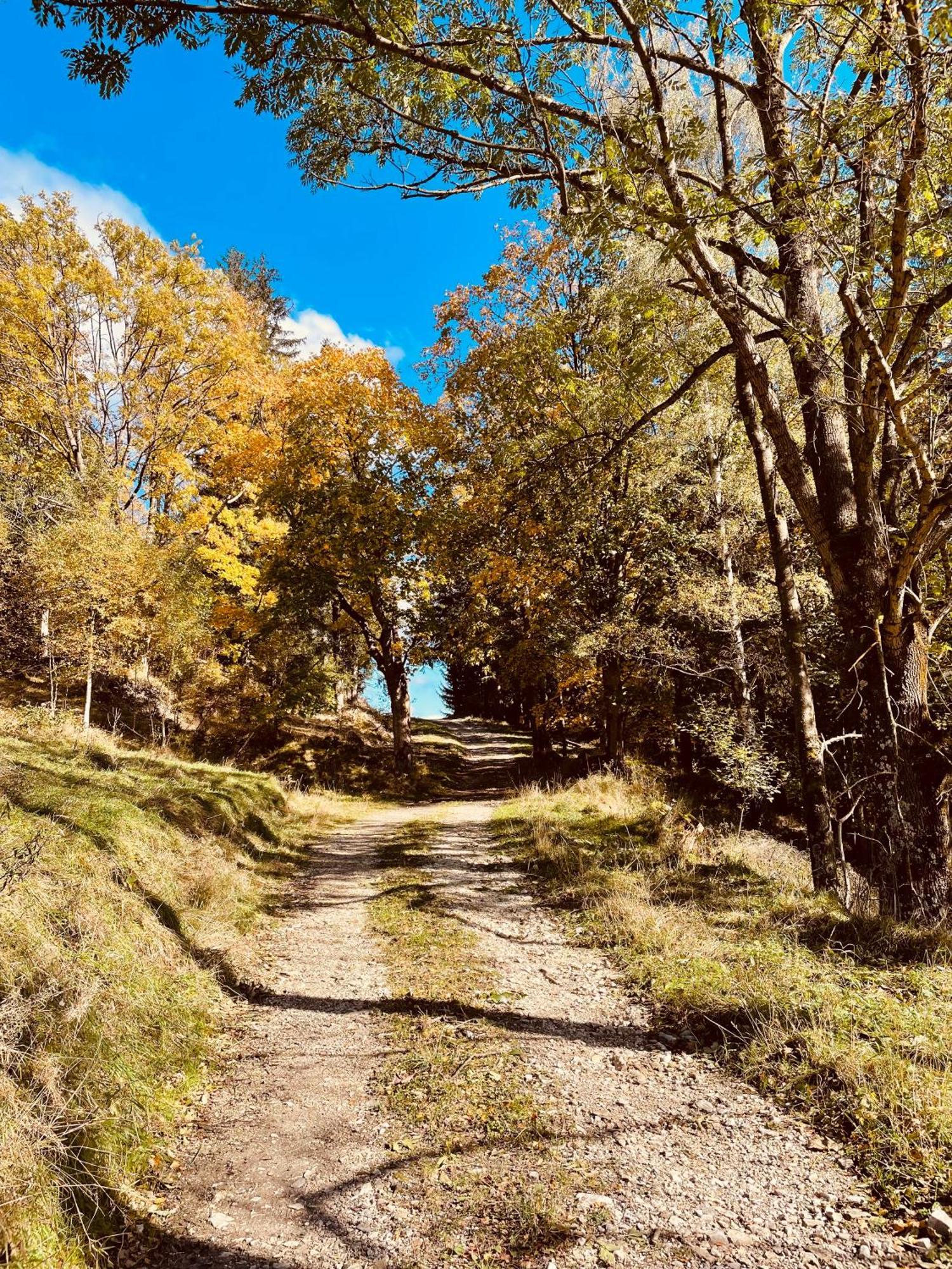 Gorska Cisza - Duzy, Komfortowy, Wyjatkowy Apartament Stronie Śląskie 외부 사진